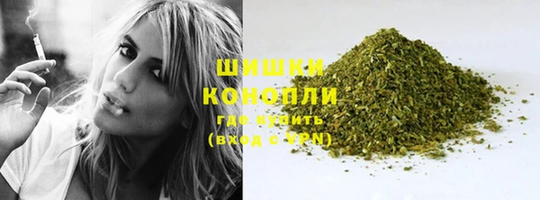 молекула духа Богородск