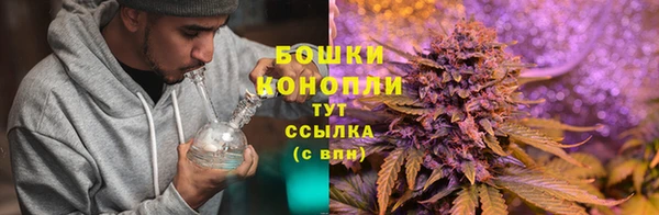 гашишное масло Богданович