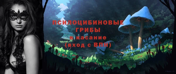 мефедрон Богородицк